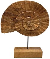 Beeld - hout beeld - schelp op standaard - by Mooss - Hoog 50 cm