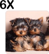 BWK Flexibele Placemat - Schattige Yorkshire Puppies - Honden - Set van 6 Placemats - 50x50 cm - PVC Doek - Afneembaar