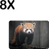 BWK Flexibele Placemat - Rode Panda - Dier - Bos - Boomstam - Set van 8 Placemats - 35x25 cm - PVC Doek - Afneembaar