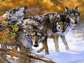 Diamond painting 40x50 cm wolven