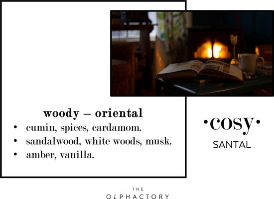 The Olphactory Luxe Geurstokjes | Reed Diffuser #cosy - kardemom komijn sandelhout vanille amber - The Olphactory