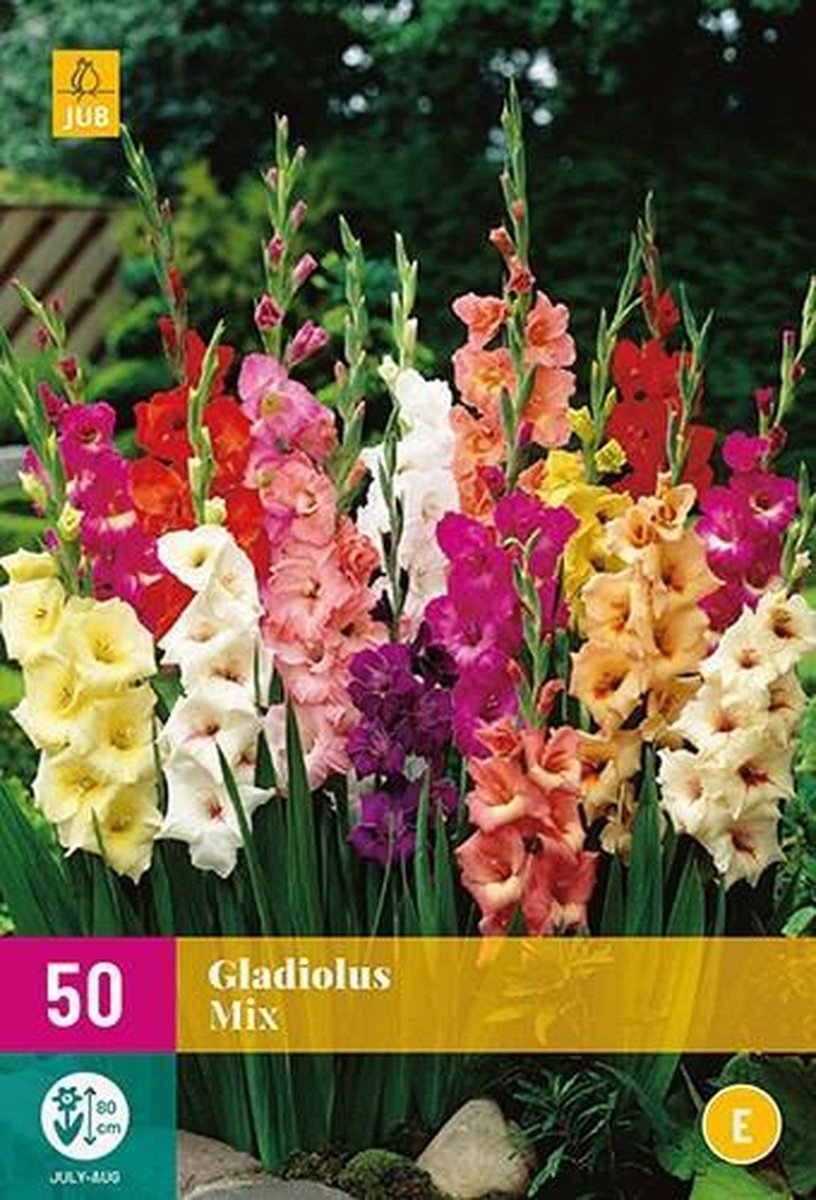 Grootbloemige gladiolen mix - set van 50 stuks