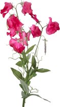Viv! Home Luxuries Lathyrus - zijden bloem - fuchsia - topkwaliteit