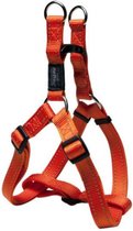 Rogz For Dogs Snake Step-In Hondentuig - 16 mm x 42-61 cm - Oranje