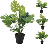 Homestyle Plant In Pot - Decoratie - 45 cm Assorti