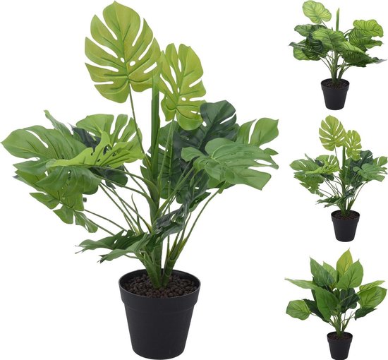 Homestyle Plant In Pot - Decoratie - 45 cm Assorti