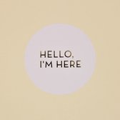 stickers Hello I'm here geboorte cadeauzegels sluitzegels 12 stuks