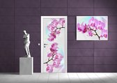 Flowers  Orchids Photo Wallcovering
