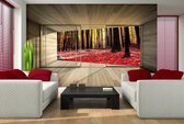 Window Forest Trees Leafs Red Photo Wallcovering