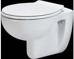 Toiletpot Hangend Durance Randloos Diepspoel Exclusief Toiletbril