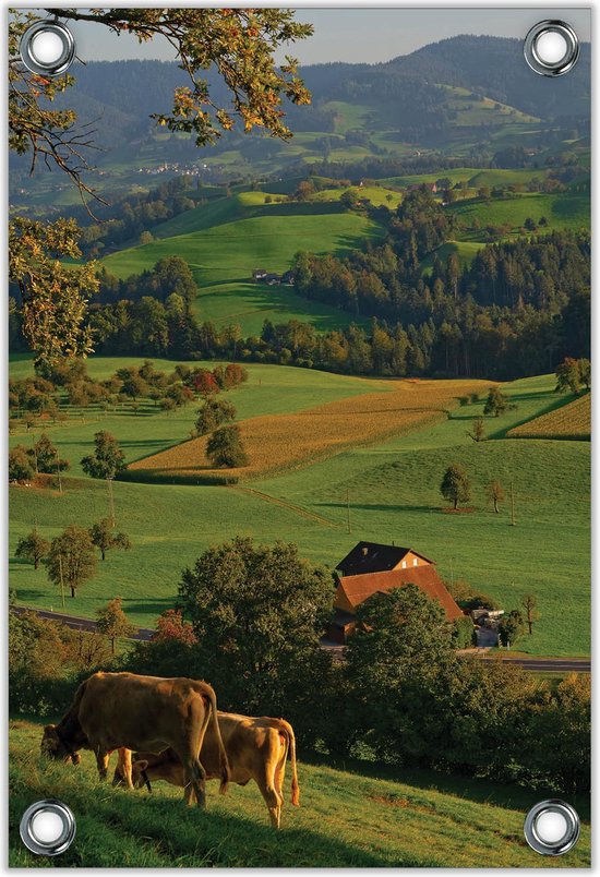 Tuinposter –Grazende Koeien in de Heuvels– 30x40cm Foto op Tuinposter (wanddecoratie voor buiten en binnen)