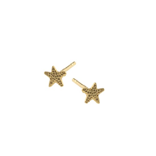 Lauren Sterk Amsterdam - boucles d'oreilles étoile de mer mini - plaqué or - revêtement supplémentaire