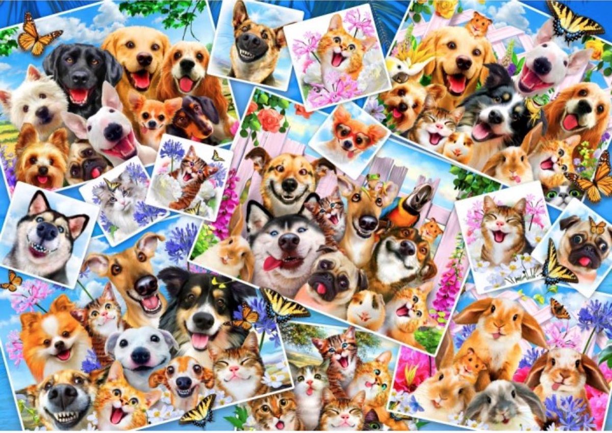 Afbeelding van product Bluebird  Selfie-collage van dieren - puzzel van 1000 stukjes