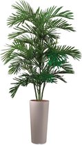 HTT - Kunstplant Areca palm in Clou rond taupe H200 cm