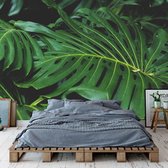 Behang Tropical leaves - 5 350 x 280 cm (b x h)