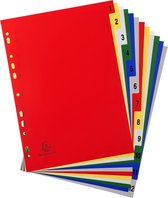 20x Tabbladen met bedrukte tabs in gekleurde PP - 12 tabs - 1 tot 12 - A4, Geassorteerde felle kleuren