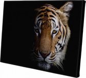 Canvasdoek Tijger | Wanddecoratie | 60 CM x 40 CM | Schilderij | Aan de muur | Dieren | Natuur