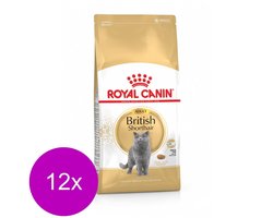 Royal Canin British Shorthair Adult - Kattenvoer - 12 x 400 g