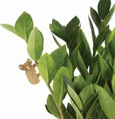 Plant Animals - Koala Bear - Playful Creates For Your Plants!