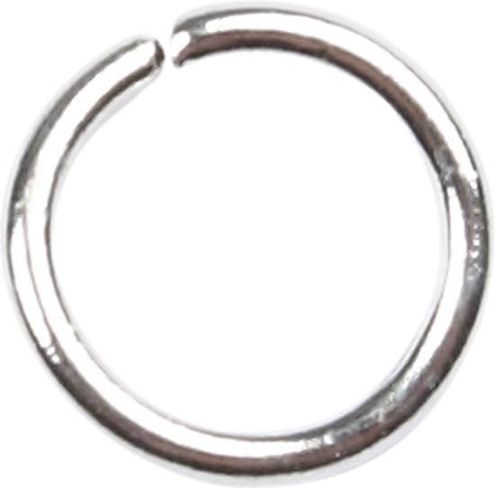 Stainless Steel Karabijnsluiting (19 x 10 mm) Antiek Zilver (5 Stuks Stainless Steel Karabijnsluiting (19 x 10 mm) Antiek Zilver (5 Stuks