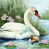 Diamond painting - Vogel - Zwanenfamilie - 40x30cm