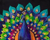 Diamond painting - Kleurrijke pauw - 40x30cm