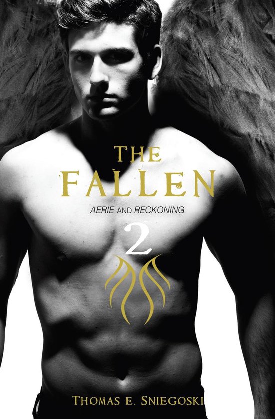 Fallen 2 - cover
