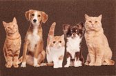 Ikado  Deurmat foto katten en honden  50 x 80 cm