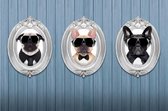 Ikado  Deurmat foto drie hondjes  50 x 80 cm