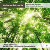 Orchestre De Picardie, Arie Van Beek - Pepin: The Sound Of Trees (CD)