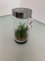 Decoratieve Kunstplant in gazen pot met chroom deksel