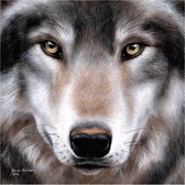 Craft Buddy Crystal Art Wolf 30x30 cm