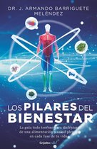 Los pilares del bienestar / The Wellbeing Bible