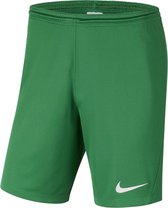 Nike Park III Sportbroek - Maat XL  - Mannen - groen