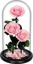 La Rose Triple Sakura Pink | Long Life Roos in glazen stolp | Verjaardag | Cadeau | Liefde | Woonaccessoires & decoratie | Belle en het Beest | Beauty and the Beast | Valentijn | Valentijnsda
