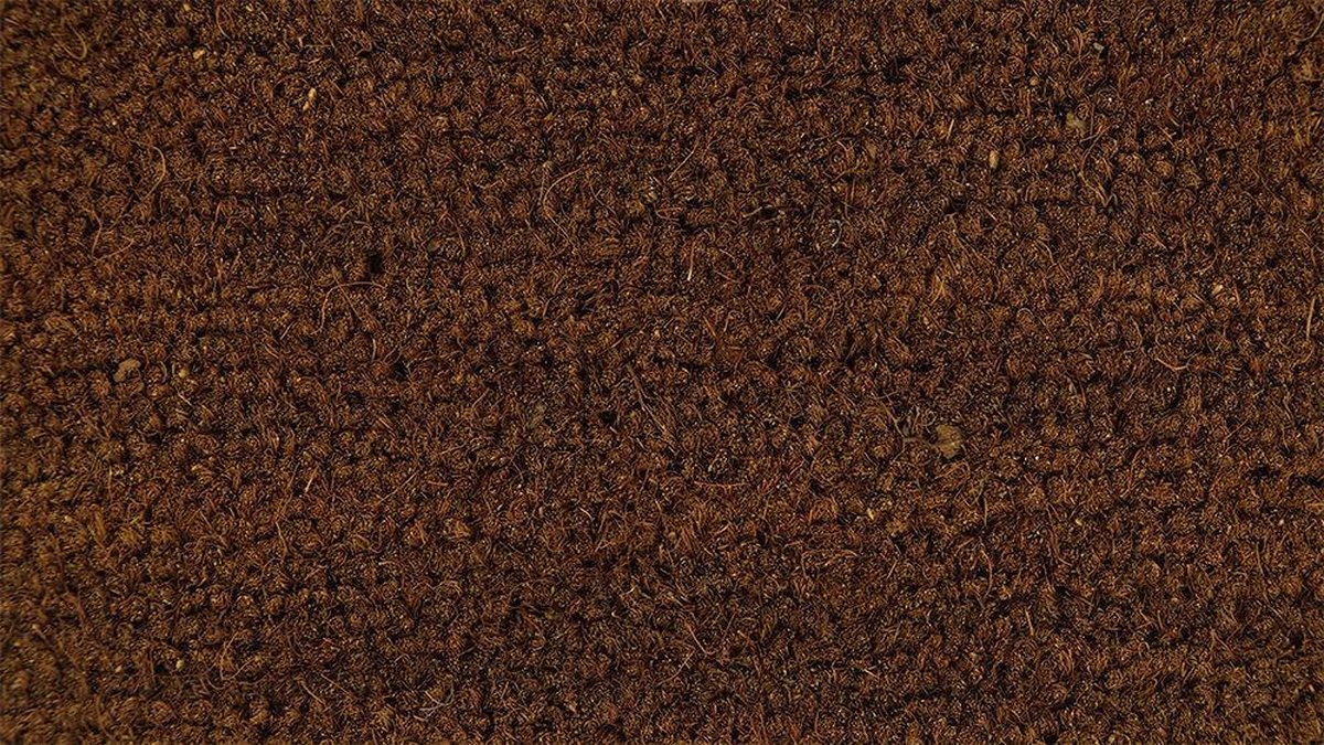 Kokosmat Terra Deurmat - 80 x 60 cm - Antislip rug - Slijtvast