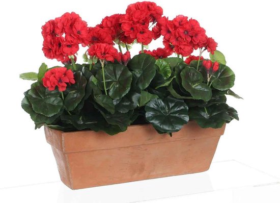 Mica Decorations geranium rood in balkonbak terra maat in cm: 39x13x40