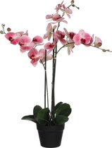 Mica Decorations phalaenopsis in plastic pot roze maat in cm: 75 x 51 x 79 - ROZE