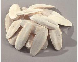 Sepia Schelpen - Cuttle Bone
