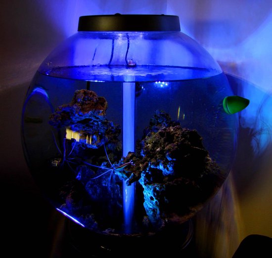 Aqua Mood verlichting voor aquarium, bad, en of bloemen... |