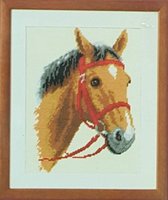 Paard op Stramien Voorbedrukt