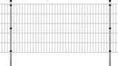 Dubbelstaafmatten en palen 2008x1030 mm 4 m zilverkleurig
