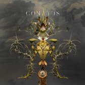 Joep Beving - Conatus
