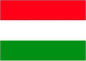 20x Binnen en buiten stickers Hongarije 10 cm - Hongaarse vlag stickers - Supporter feestartikelen - Landen decoratie en versieringen