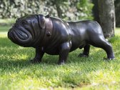 Tuinbeeld - bronzen beeld - Bulldog - 37 cm hoog