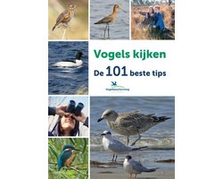 Vogels kijken
