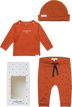 Noppies Giftset Unisex (3delig) Ginger Broek met stip, Muts en Hester - Maat 50