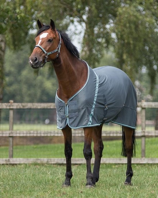 Bruin paard met een grijze QHP coolmesh deken, lichte randafwerking, staand in gras.