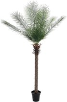 Europalms kunstplant palmboom Phoenix deluxe - groen - kunstpalm - 220 cm hoog - voor buiten en binnen