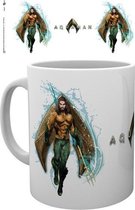 DC Comics Aquaman Mok